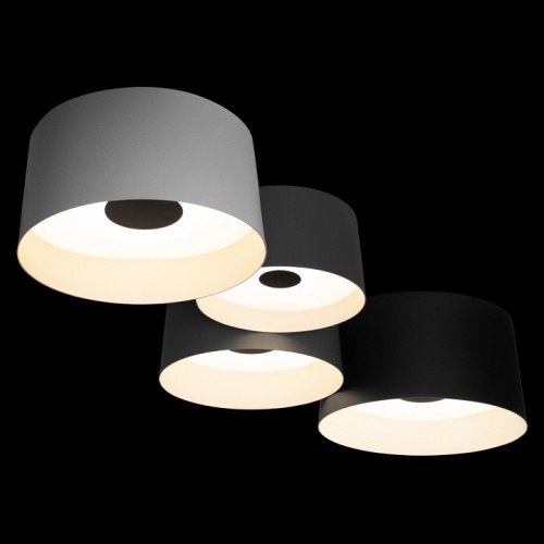 Потолочная люстра Loft it Duo 10360/4 в Нижнем Новгороде фото 4