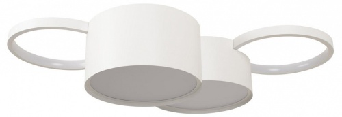 Потолочная люстра Loft it Pin 10317/4 White в Нижнем Новгороде фото 2