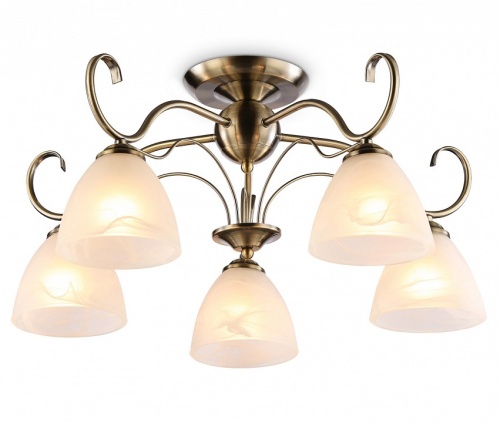 Потолочная люстра Ambrella Light TR TR3046 в Нижнем Новгороде