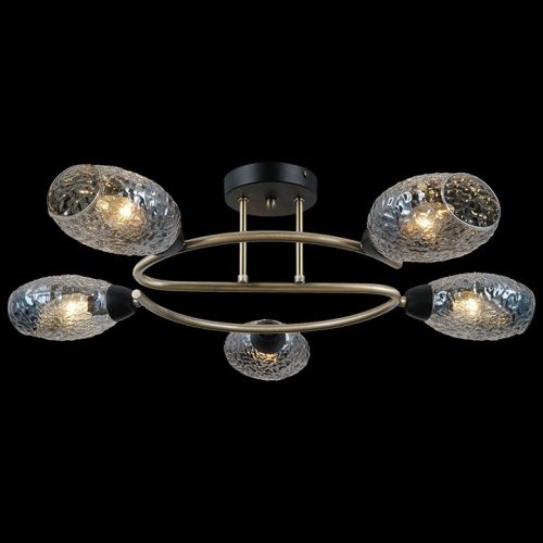 Потолочная люстра ILLUMICO  IL0300-5CSQ-79 BK AB в Нижнем Новгороде фото 3