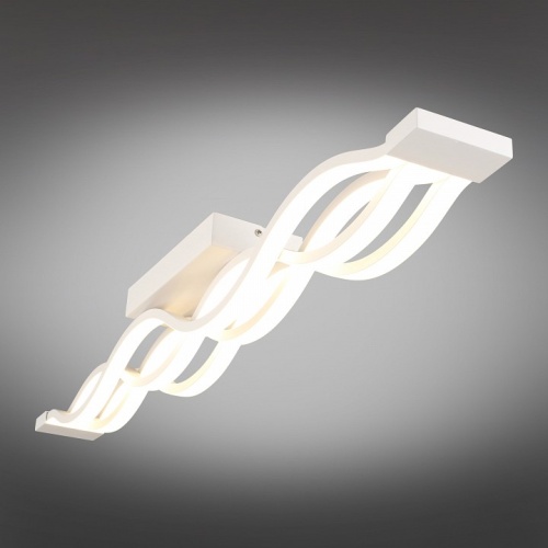 Накладной светильник Aployt Nadayn APL.002.07.72 в Нижнем Новгороде фото 2