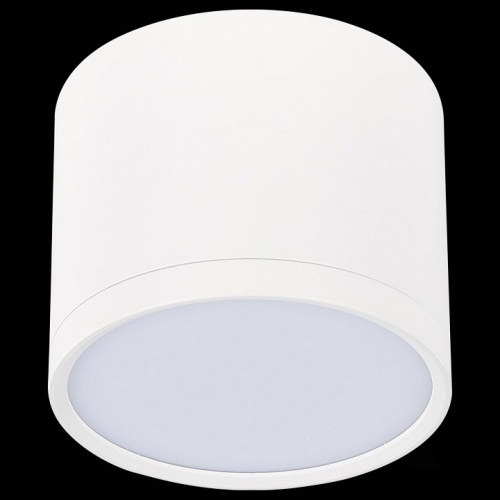 Накладной светильник ST-Luce Rene ST113.542.09 в Нижнем Новгороде фото 5