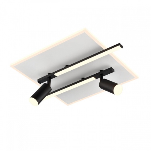 Накладной светильник Lumion STELLS 8256/40CL в Нижнем Новгороде фото 5