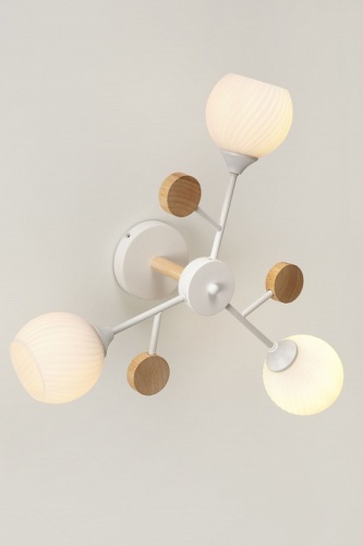 Люстра на штанге Rivoli Chiara Б0068427 в Нижнем Новгороде фото 5