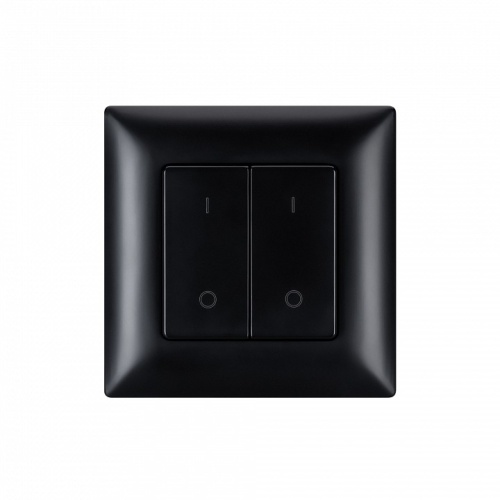 Выключатель двухклавишный Arlight INTELLIGENT 050446 в Нижнем Новгороде фото 2