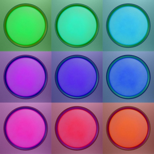 Накладной светильник Citilux BOSS CL751351G в Нижнем Новгороде фото 14