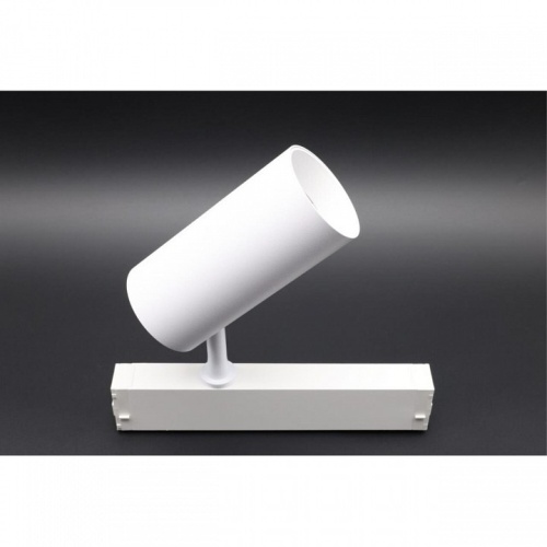 Светильник на штанге Aployt Magnetic track 220 APL.0205.10.20 в Нижнем Новгороде фото 10