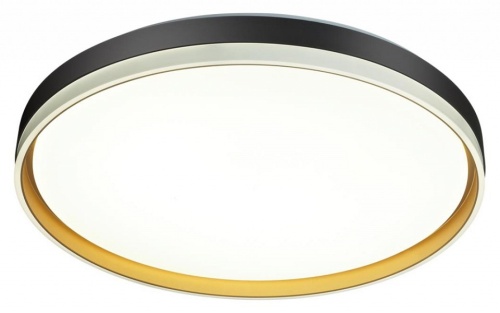 Накладной светильник Sonex Savi 7619/ELN в Нижнем Новгороде фото 3