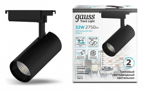 Светильник на штанге Gauss TR TR073 в Нижнем Новгороде фото 3