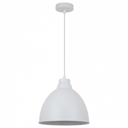 Подвесной светильник Arte Lamp Braccio A2055SP-1WH в Дзержинске фото 2