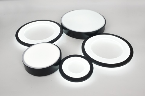 Потолочная люстра Rivoli Aliona Б0066468 в Нижнем Новгороде фото 10