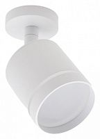 Спот Escada 20009 20009SMA/02LED SWH в Нижнем Новгороде