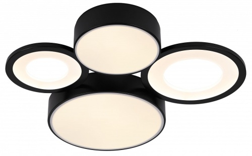 Потолочная люстра Rivoli Aliona Б0066451 в Нижнем Новгороде фото 11