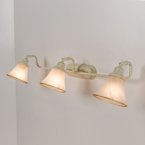 Спот Citilux Прованс CL511534 в Нижнем Новгороде фото 9