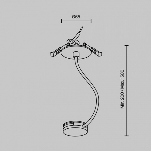 Основание на подвесе для трека-ремня Maytoni Accessories for system Parity TRA130RWC-2B в Краснокамске фото 2