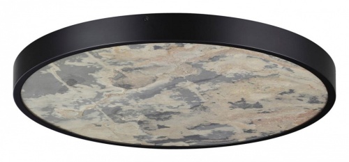 Накладной светильник Odeon Light Bergi 5064/50L в Нижнем Новгороде фото 7