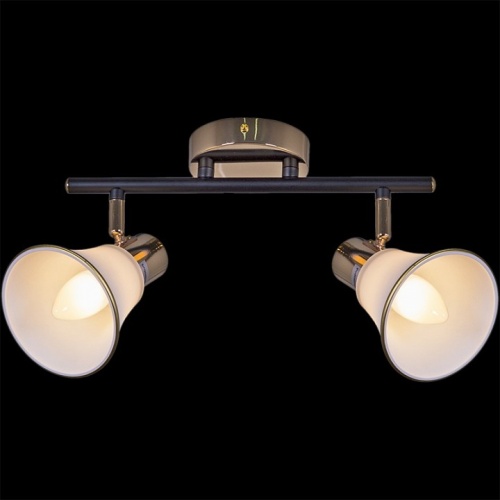 Светильник на штанге  05901-0.8-02 BK+FGD в Нижнем Новгороде фото 4