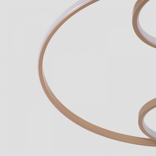 Потолочная люстра F-promo Campus 4681-4C в Нижнем Новгороде фото 7