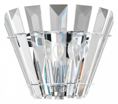 Накладной светильник Arte Lamp Florizel A1072AP-2CC в Нижнем Новгороде