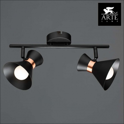 Спот Arte Lamp Baltimore A1406AP-2BK в Слободском фото 3