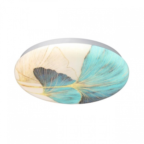 Накладной светильник Sonex Floren 7747/CL в Нижнем Новгороде фото 4