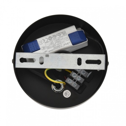 Подвесной светильник Lumion CAMOMILE 8301/10L в Нижнем Новгороде фото 4