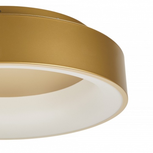 Накладной светильник MyFar Shannon MR2195-1PL в Нижнем Новгороде фото 7