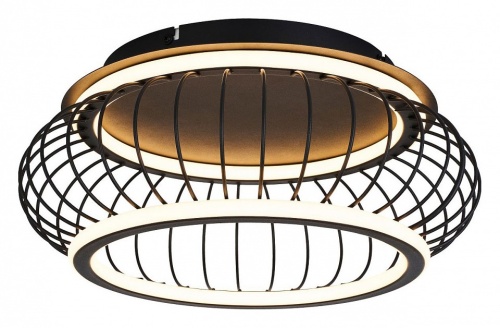 Накладной светильник F-promo Korg 4435-2C в Нижнем Новгороде