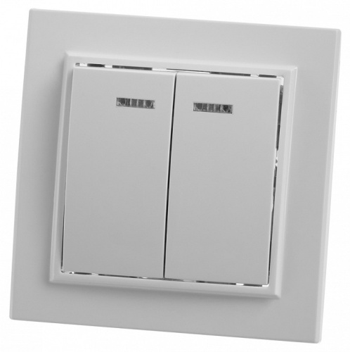 Выключатель двухклавишный с подсветкой Stekker Эрна 39042 в Нижнем Новгороде