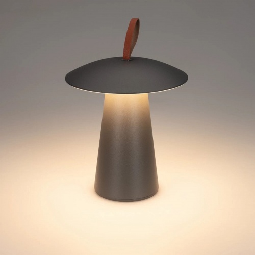 Настольная лампа декоративная Arlight SP-PATIO 043587 в Нижнем Новгороде фото 6