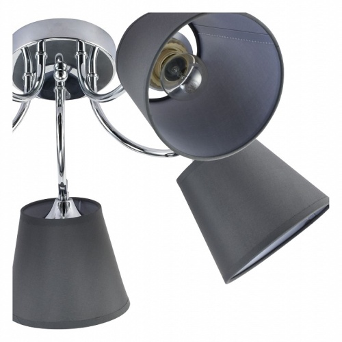 Потолочная люстра Rivoli Alexa Б0059974 в Нижнем Новгороде фото 4