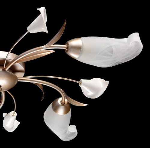 Потолочная люстра MW-Light Восторг 19 242016205 в Нижнем Новгороде фото 15