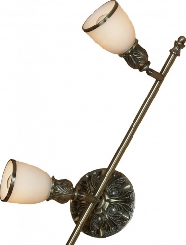 Спот Lussole Furlo LSL-7301-03 в Нижнем Новгороде фото 2