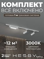 Комплект трековый Hesby Lighting Skylite №5 HSBL_kompl_S005_NI1W3K в Нижнем Новгороде
