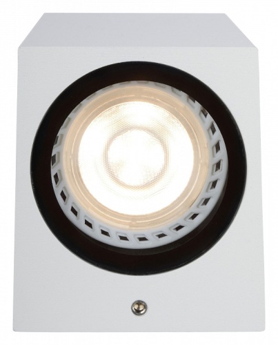 Накладной светильник Lucide Zaro 69800/01/31 в Нижнем Новгороде фото 4