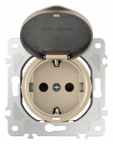 Розетка влагозащищенная с заземлением и со шторкой с крышкой Arte Milano am-202 202.41-1.shampan в Нижнем Новгороде фото 8