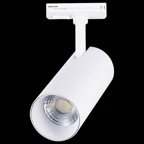 Светильник на штанге ST-Luce Mono ST350.536.20.36 в Нижнем Новгороде фото 5