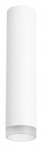 Накладной светильник Lightstar Rullo R49630 в Белокурихе