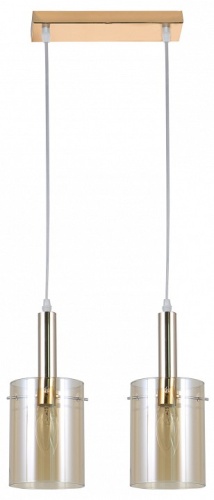 Подвесной светильник 06963-0.9-02L в Нижнем Новгороде