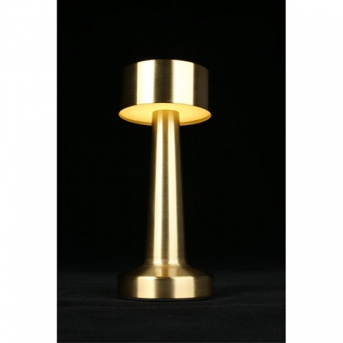 Настольная лампа декоративная Aployt Perrayn APL.671.04.01 в Нижнем Новгороде фото 4