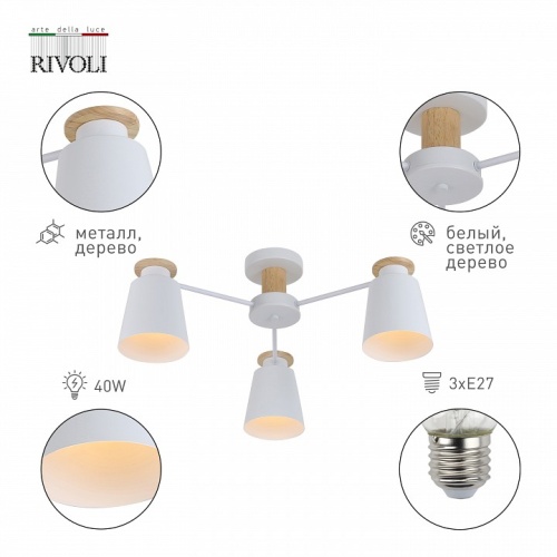 Потолочная люстра Rivoli Adna Б0053435 в Нижнем Новгороде фото 4