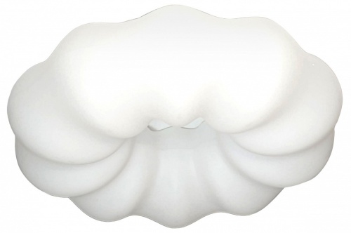 Накладной светильник Zortes Soft ZRS.1118.4 в Нижнем Новгороде