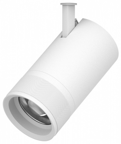 Светильник на штанге Lightstar Canno Pro 304406 в Нижнем Новгороде