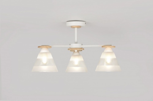 Люстра на штанге Rivoli Theothila Б0068434 в Нижнем Новгороде фото 6