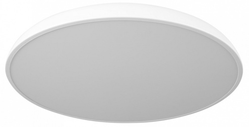 Накладной светильник Loft it Dime 10371 White в Нижнем Новгороде