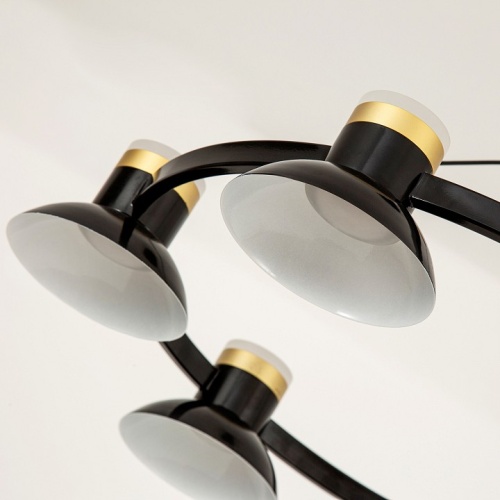 Подвесная люстра Favourite Tatti 4516-9P в Нижнем Новгороде фото 2