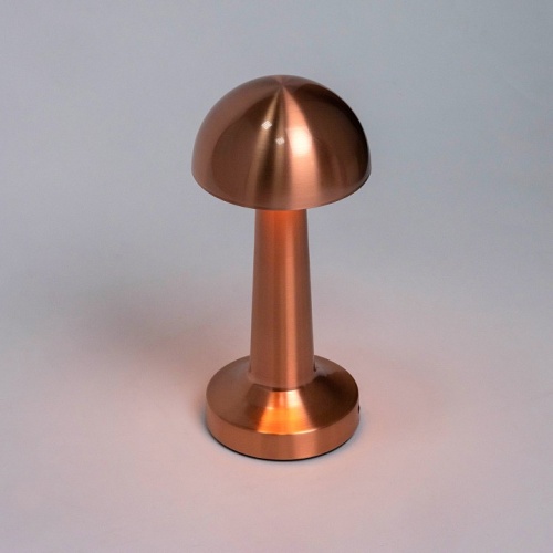 Настольная лампа декоративная Escada Evo 10257/L LED в Нижнем Новгороде фото 6