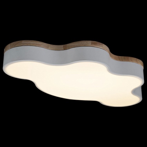 Накладной светильник Loft it Axel 4 10005/36 White в Нижнем Новгороде фото 2