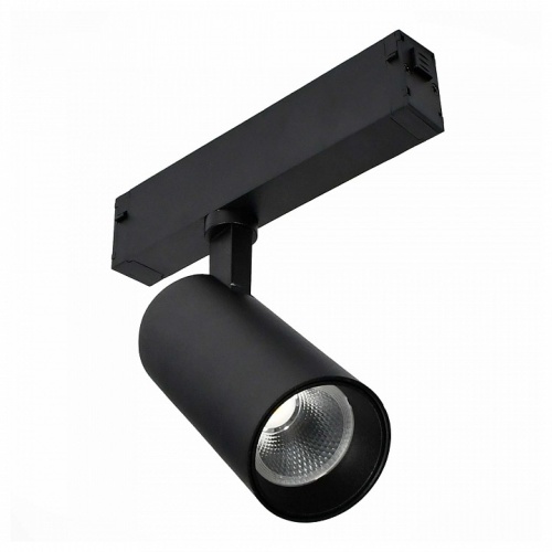 Светильник на штанге ST-Luce SKYLINE 220 ST660.496.10H в Нижнем Новгороде