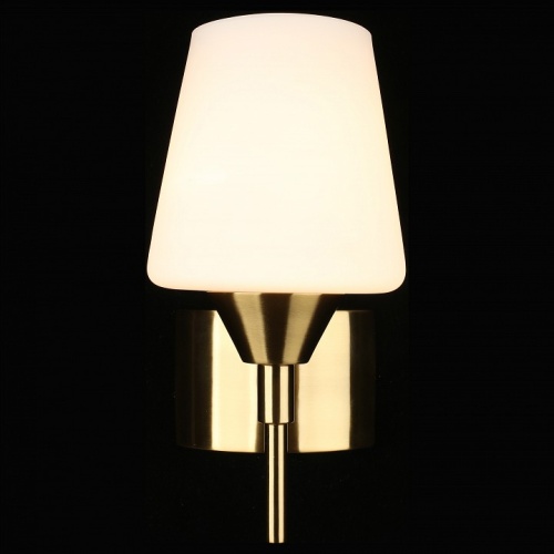 Бра Aployt Lyus APL.840.01.01 в Нижнем Новгороде фото 8